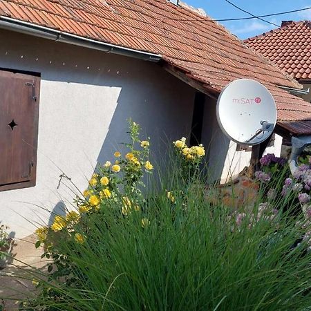 Apartman Nebojsa Руднік Екстер'єр фото
