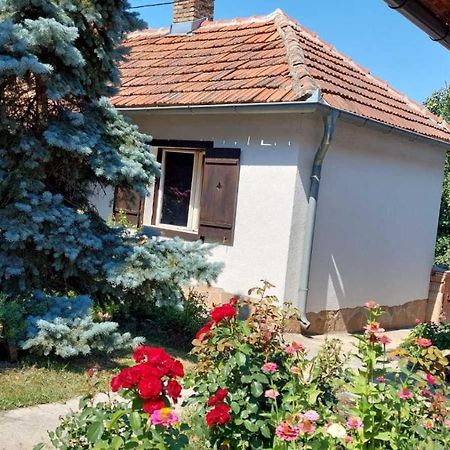 Apartman Nebojsa Руднік Екстер'єр фото
