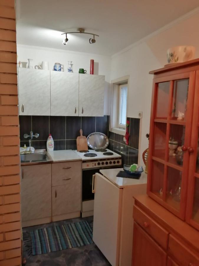 Apartman Nebojsa Руднік Екстер'єр фото