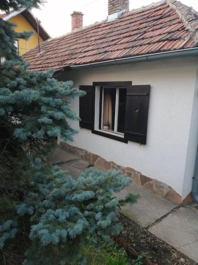 Apartman Nebojsa Руднік Екстер'єр фото