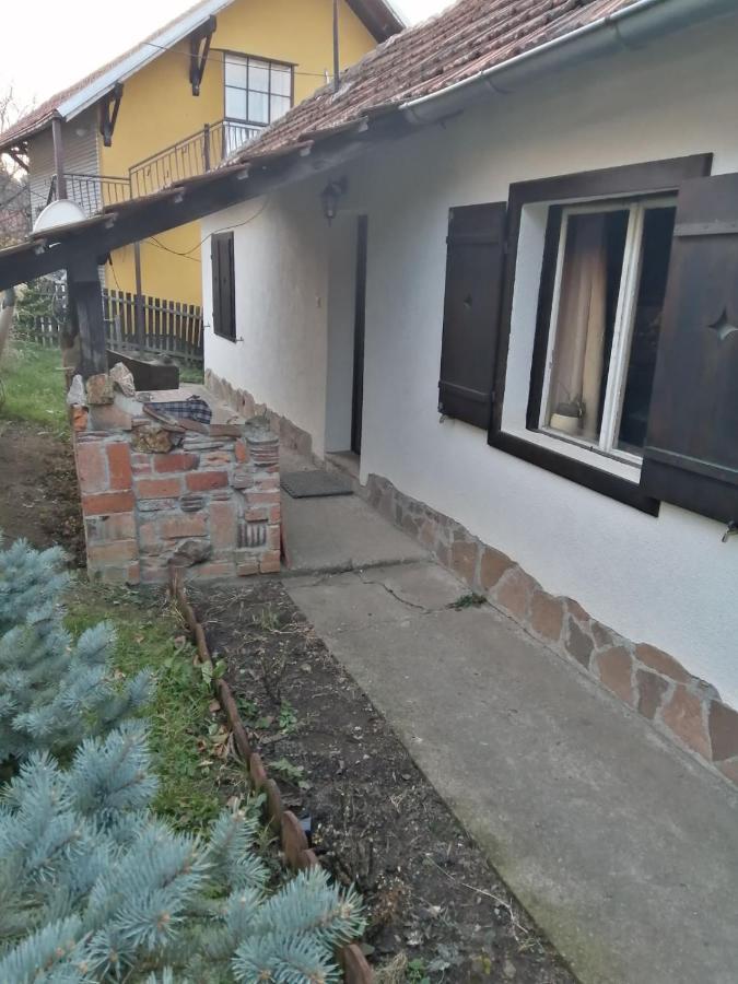 Apartman Nebojsa Руднік Екстер'єр фото