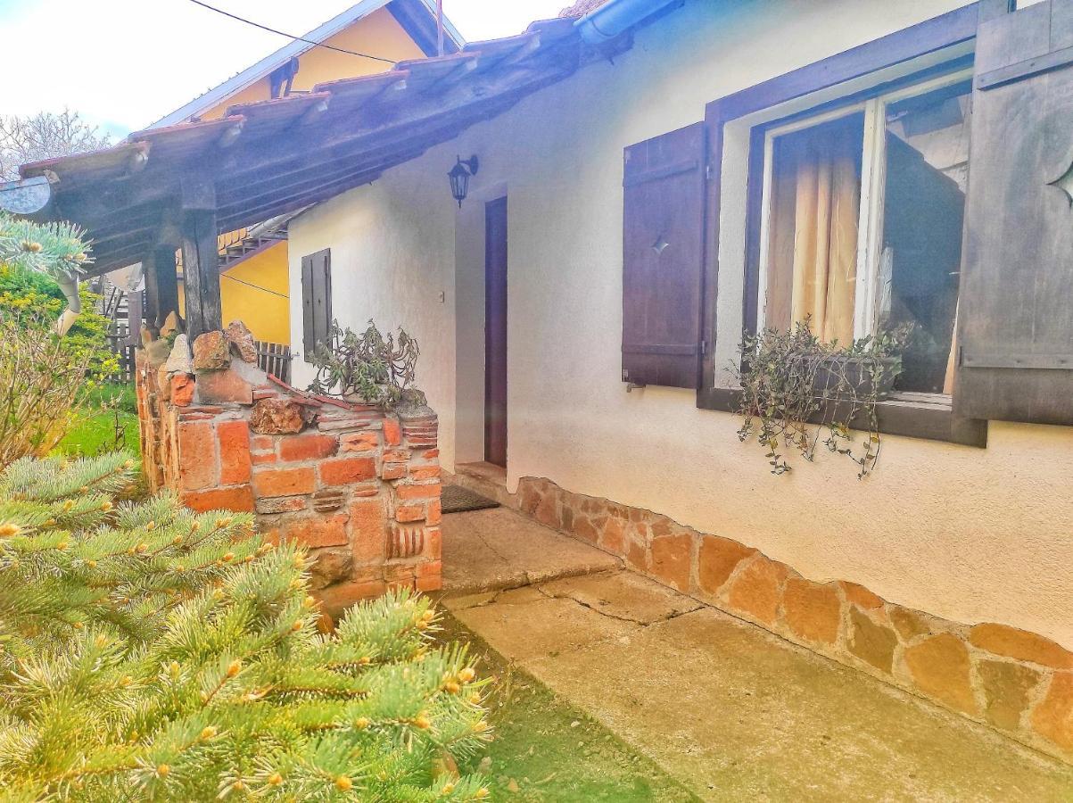 Apartman Nebojsa Руднік Екстер'єр фото