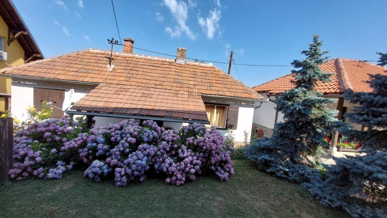 Apartman Nebojsa Руднік Екстер'єр фото