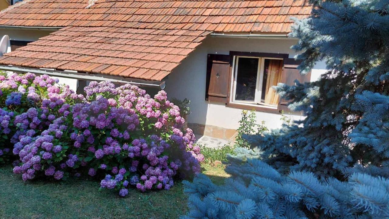 Apartman Nebojsa Руднік Екстер'єр фото
