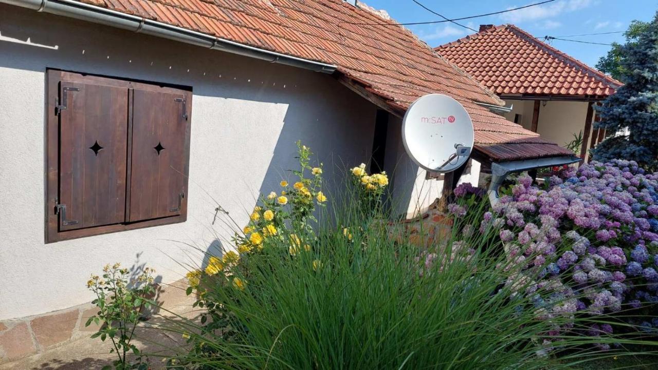 Apartman Nebojsa Руднік Екстер'єр фото