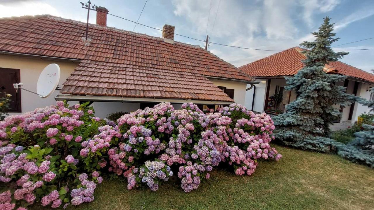Apartman Nebojsa Руднік Екстер'єр фото