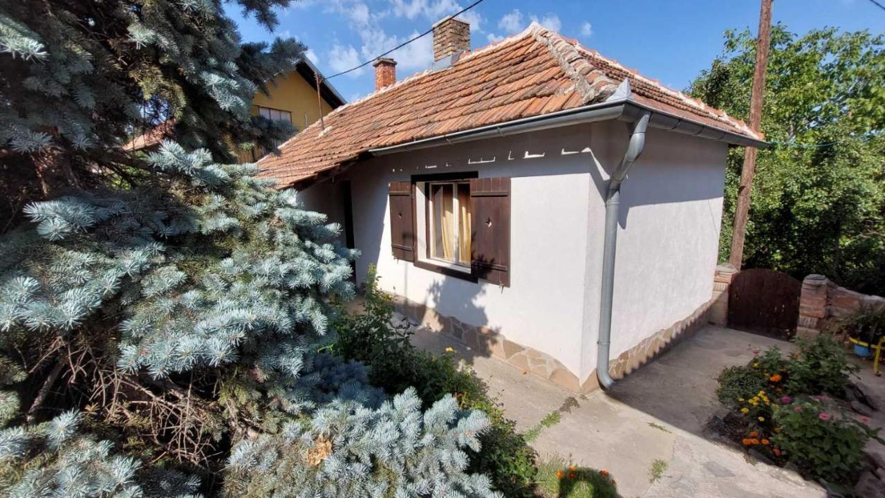 Apartman Nebojsa Руднік Екстер'єр фото