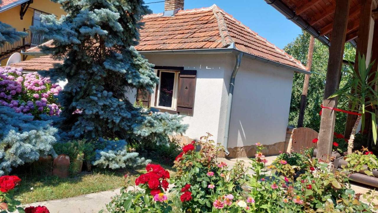 Apartman Nebojsa Руднік Екстер'єр фото