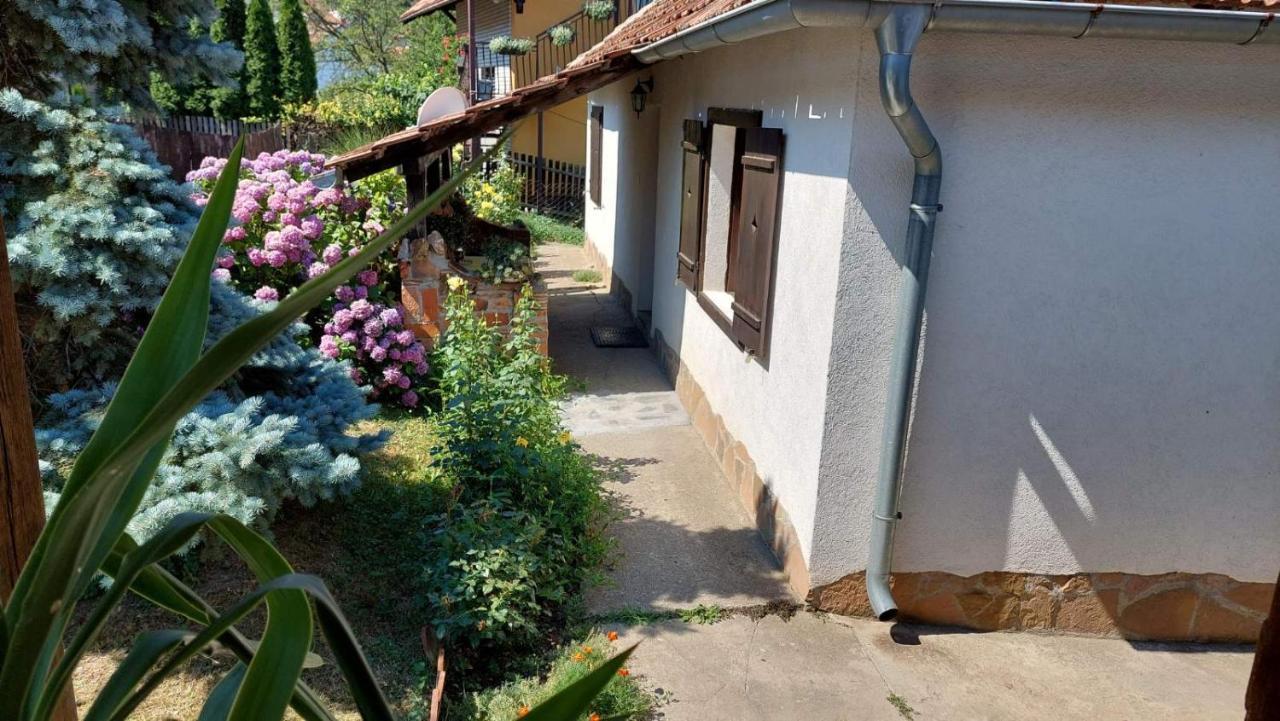 Apartman Nebojsa Руднік Екстер'єр фото