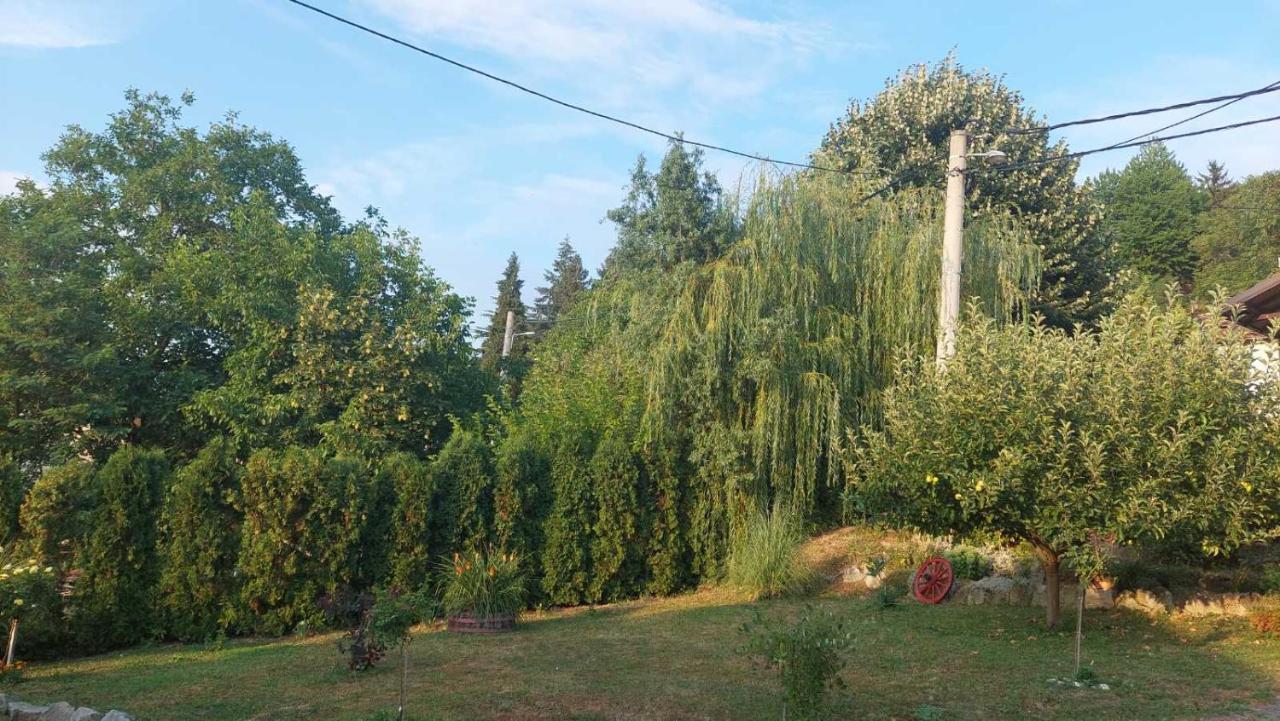 Apartman Nebojsa Руднік Екстер'єр фото