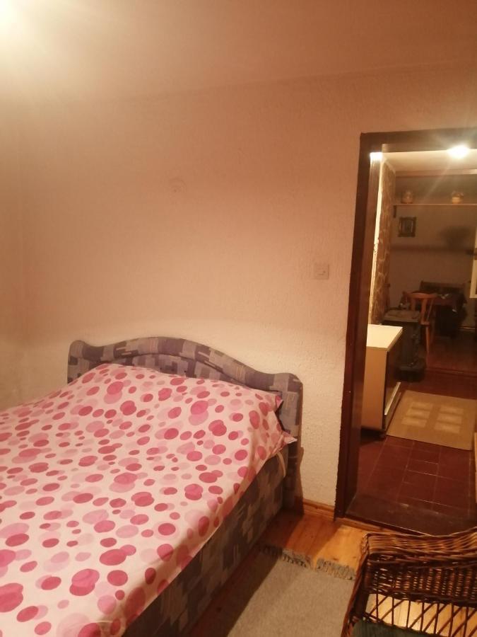 Apartman Nebojsa Руднік Екстер'єр фото