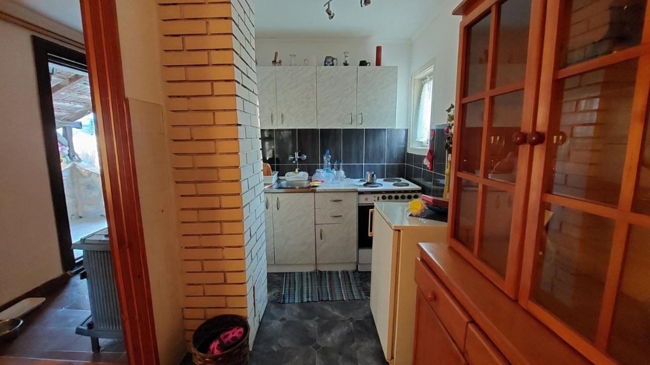 Apartman Nebojsa Руднік Екстер'єр фото